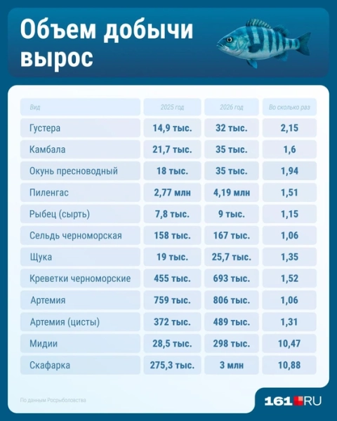 Кто теперь главный в Азовском море: рыба или моллюски?