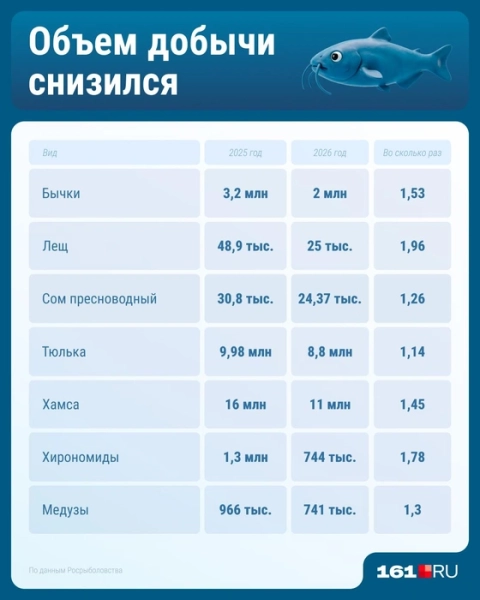 Кто теперь главный в Азовском море: рыба или моллюски?