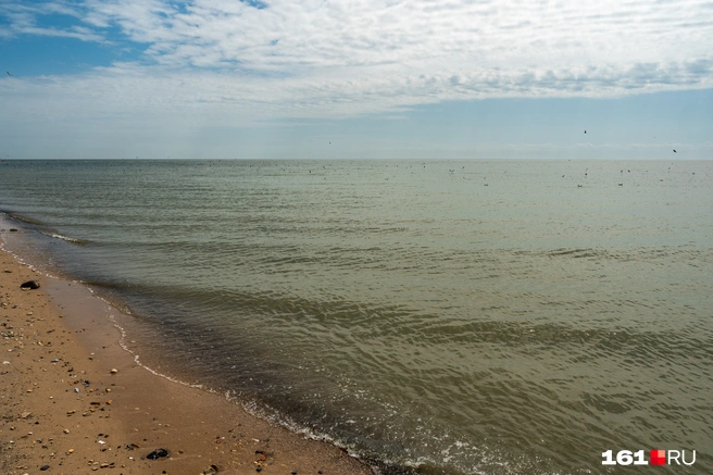 Экосистемный кризис Азовского моря