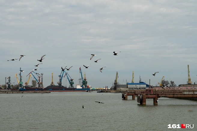 Ученые оценили безопасность рыбы из Азовского моря