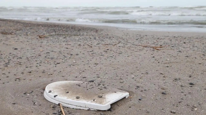Во что превратилось Каспийское море. Карта экологического бедствия в Махачкале