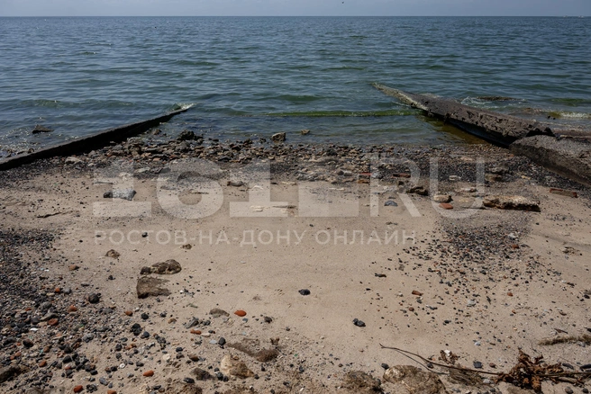 Вода живая и мертвая. Репортаж с Таганрогского залива, куда пришел мазут, а море пахнет бензином