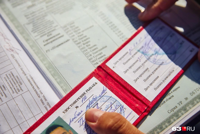 «Стерлядь плодится, а людям ни пользы, ни радости». Что происходит с рыбой в Волге — мнение рыбаков и ученых