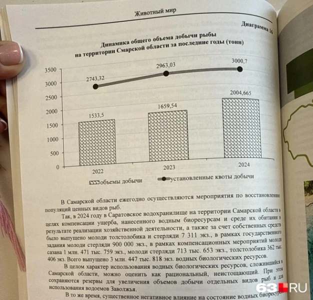 «Стерлядь плодится, а людям ни пользы, ни радости». Что происходит с рыбой в Волге — мнение рыбаков и ученых